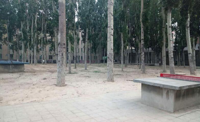 還記得上學(xué)那會水泥乒乓球臺嗎？